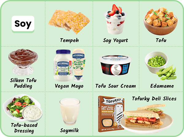 Tofu; Tempeh; Edamame; Chocolate Pudding made from Silken Tofu; Soymilk; Soy Yogurt; Tofu Sour Cream; Tempeh; Tofu Base Salad Dressing; Hellmans Vegan Mayo made with soy; Tofurky sandwich