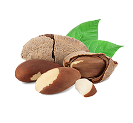 Brazil nuts