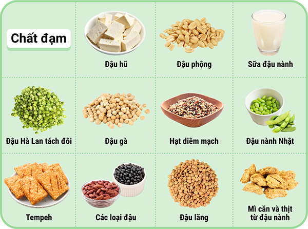 Thực phẩm gi&agrave;u đạm: Đậu n&agrave;nh Nhật, Thịt l&agrave;m từ đậu n&agrave;nh v&agrave; đậu H&agrave; Lan, Đậu H&agrave; Lan t&aacute;ch đ&ocirc;i, Đậu phộng, Hạt điều, Đậu hũ, Tempeh, Đậu lăng, C&aacute;c loại đậu, Đậu g&agrave;, Sữa đậu n&agrave;nh, Hạt di&ecirc;m mạch.