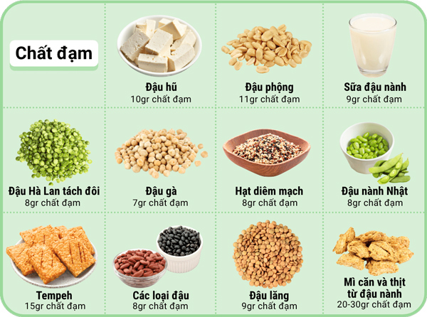 Thực phẩm giàu đạm: Đậu nành Nhật 8gr chất đạm, Thịt làm từ mì căn và đậu nành 20-30gr chất đạm, Đậu Hà Lan tách đôi 8gr chất đạm, Đậu phộng 11gr chất đạm, Đậu hũ 10gr chất đạm, Tempeh 15gr chất đạm, Đậu lăng 9gr chất đạm, Các loại đậu 8gr chất đạm, Đậu gà 7gr chất đạm, Sữa đậu nành 9gr chất đạm, Hạt diêm mạch 8gr chất đạm.