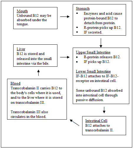 b12-absorption.gif