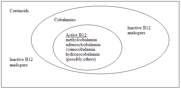 B12 Analogues